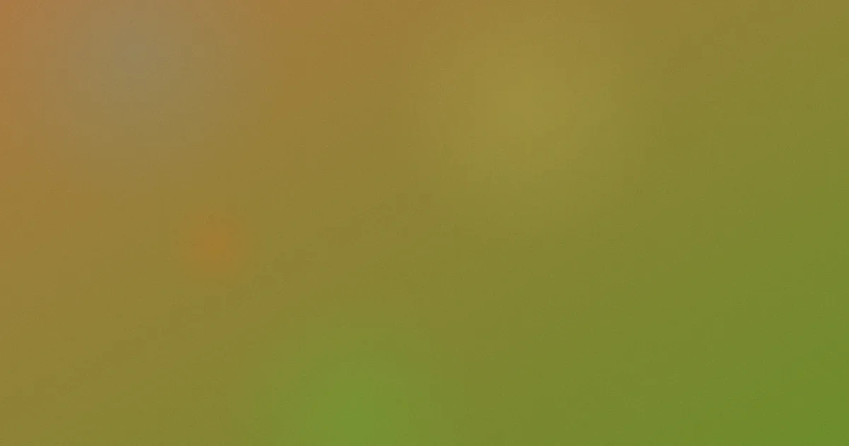 1983测评：新手别踩这些坑